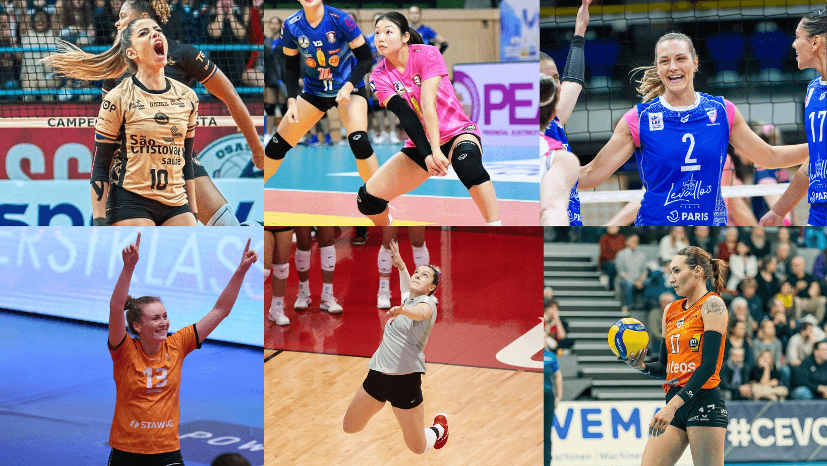 LOVB Continues Signing Spree With Additions of Grubbs, Alves, Cesar, Inoue, Palgutova and Hayden
