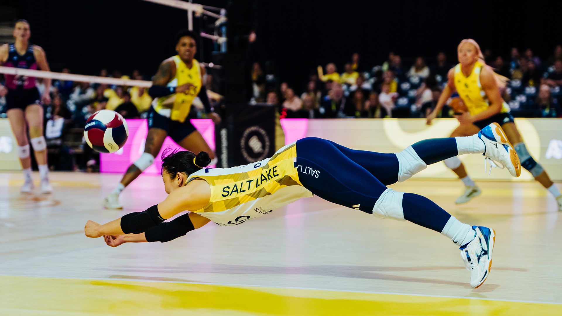 Looking Back at 2026 | No Easy Nights